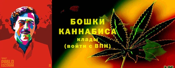 эйфоретик Няндома