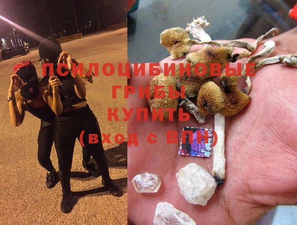 mdpv Алзамай