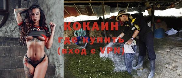 метадон Алексин