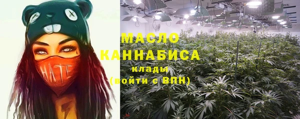 метадон Алексин
