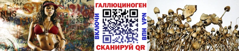 Галлюциногенные грибы Magic Shrooms Лагань