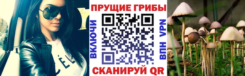 Галлюциногенные грибы Psilocybe  OMG зеркало  Лагань 